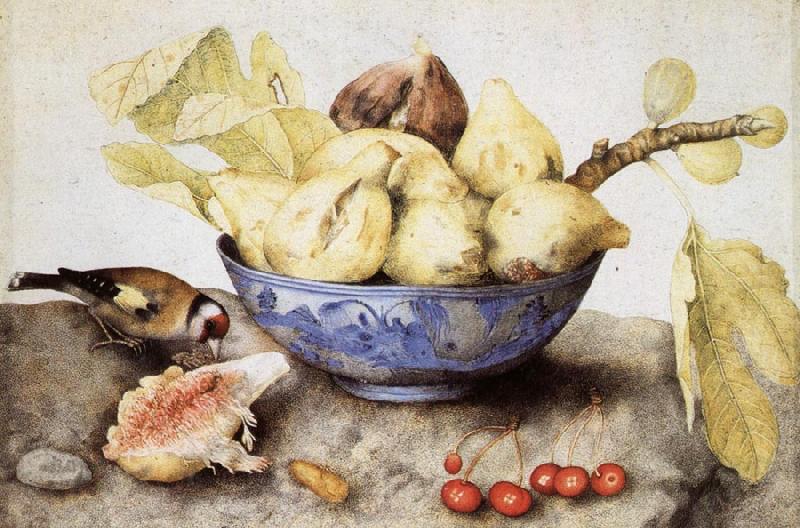 Giovanna Garzoni Chinese Cup with Figs,Cherries and Goldfinch Norge oil painting art